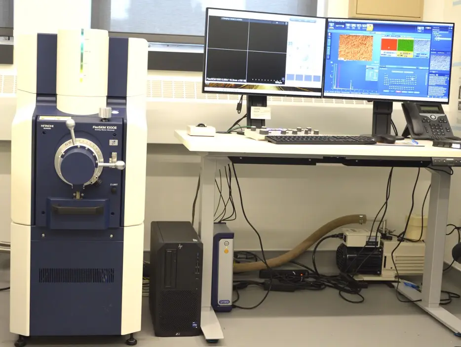 Scanning Electron Microscopy